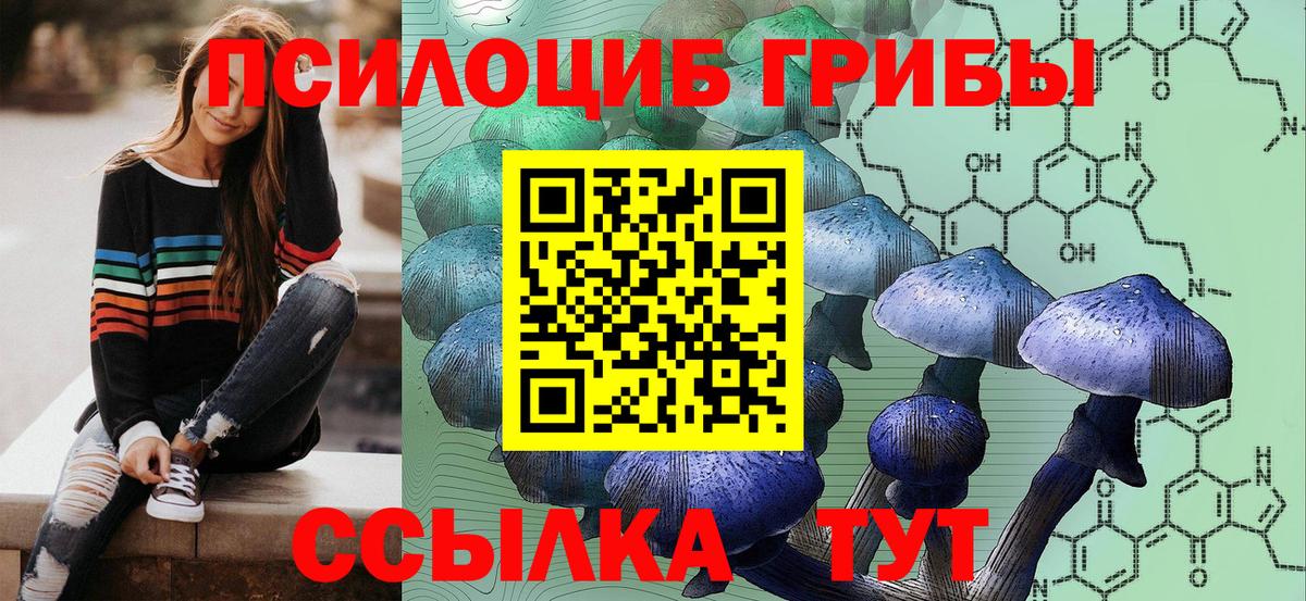 Галлюциногенные грибы Psilocybe Крымск