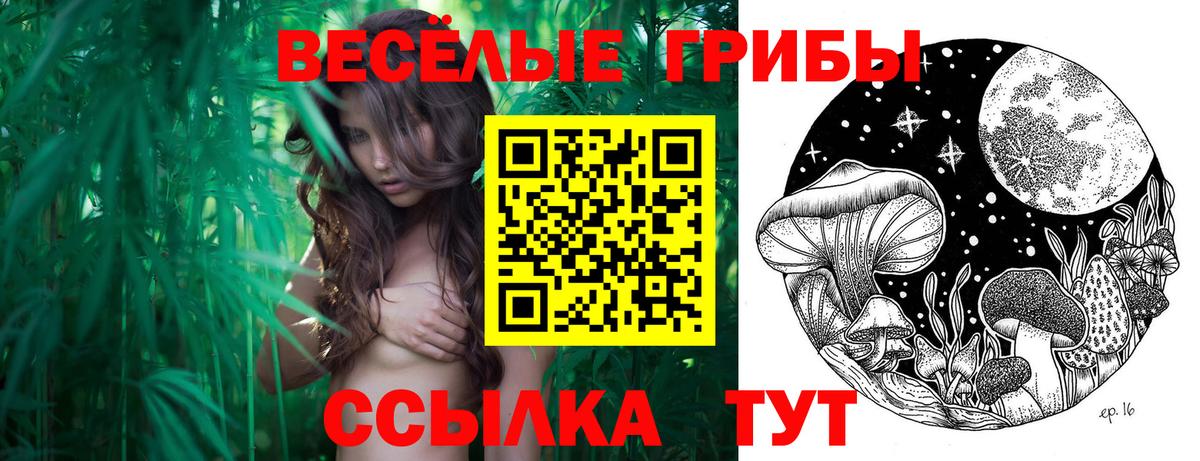 Галлюциногенные грибы мухоморы  где можно купить   Крымск  Вход с VPN 