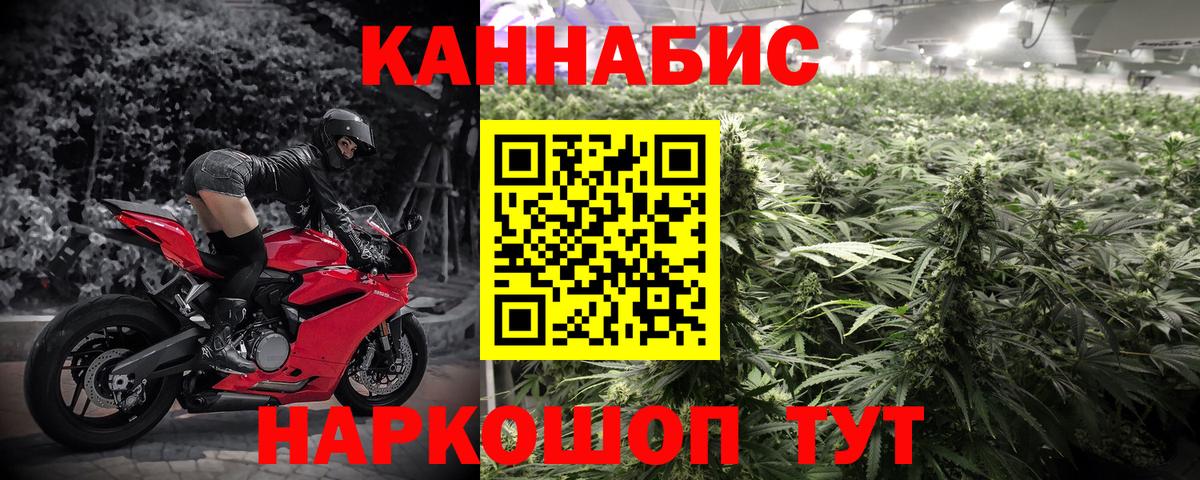 Бошки Шишки план Крымск